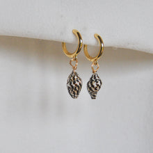 Load image into Gallery viewer, Shell Hoops