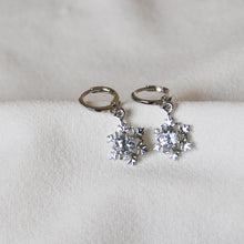 Load image into Gallery viewer, Snow Earrings