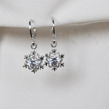 Load image into Gallery viewer, Snow Earrings