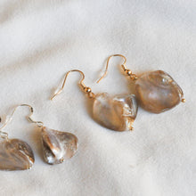 Load image into Gallery viewer, Freshwater Shell Earrings