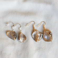 Load image into Gallery viewer, Freshwater Shell Earrings