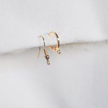 Load image into Gallery viewer, Coin Earrings
