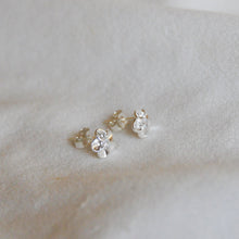 Load image into Gallery viewer, Silver Daisy Studs
